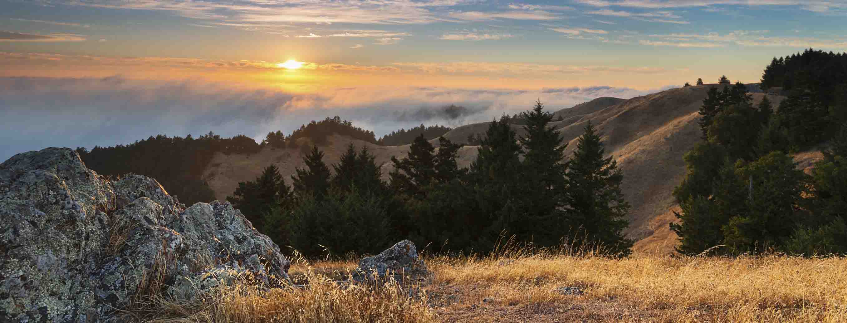 Marin County hills