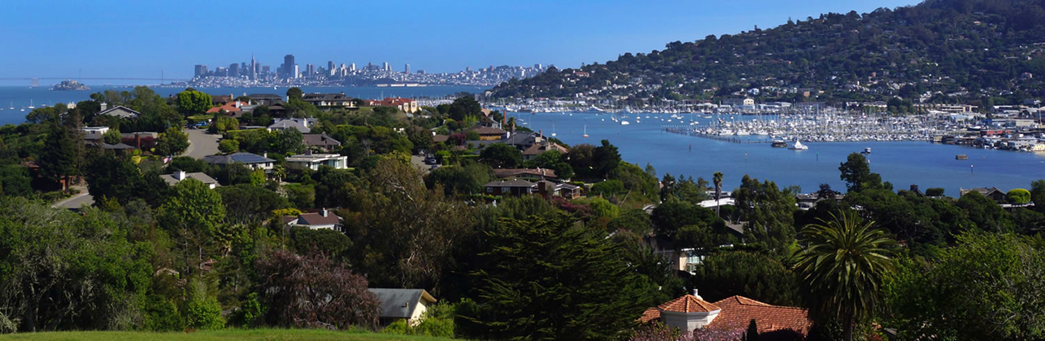 Views of San Francisco Skyline