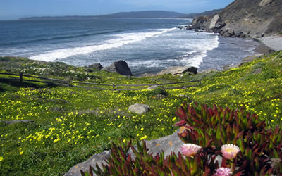 West Marin Coast in spring