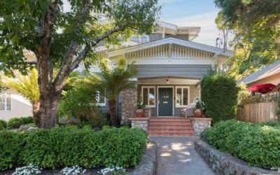 19 Baltimore, Larkspur
